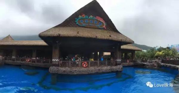 大批中华白海豚“亮相”港珠澳大桥、淇澳岛海面