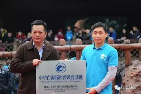 大批中华白海豚“亮相”港珠澳大桥、淇澳岛海面