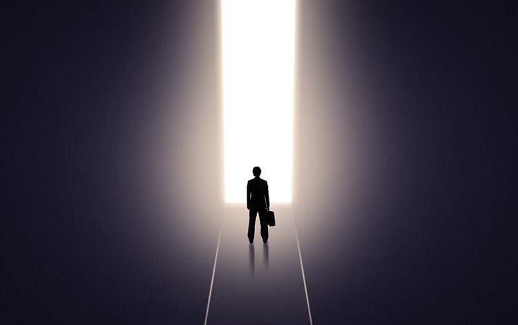 鸟哥笔记,行业动态,板栗,营销,互联网